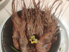 -桂满陇-十里风荷(合生汇店)