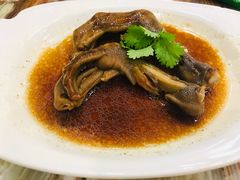 潮式卤鹅掌-椿记烧鹅(叠彩店)