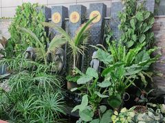-润泽园椰子鸡(汇一城店)