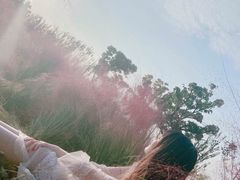 -映月湖中央公园