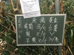 -开心庄园