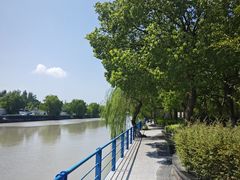 -高东镇樱花园