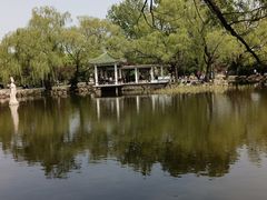 -北陵公园