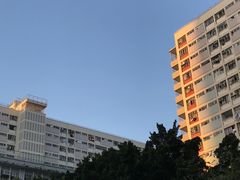 -彩虹村