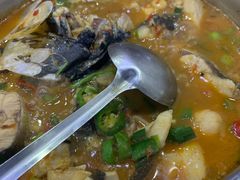 -全乐鱼馆·淳牌有机鱼直营店