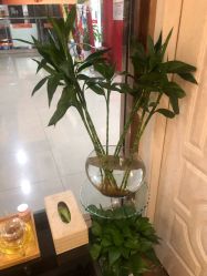 -芳朵美容养生SPA