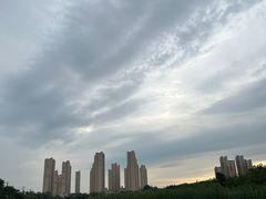 -前关湿地公园