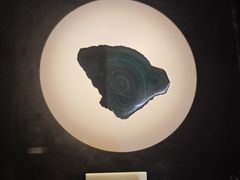 -陕西自然博物馆