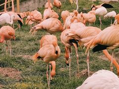 -哈尔滨北方森林动物园