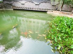 -湖北省美术院美术馆