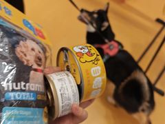 -帕帕拉兹宠物(亚洲旗舰店)