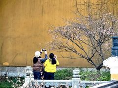 -普陀山雷迪森庄园