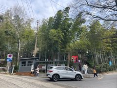 -紫金山山顶公园