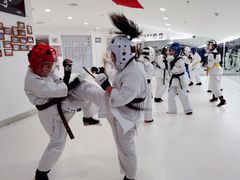 -极真空手道修远道场