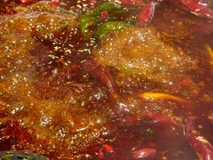 -朱光玉火锅馆(正弘城店)