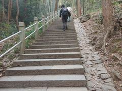 -灵顺寺