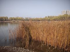 -燕郊植物园