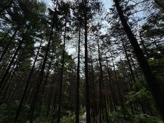 -帽儿山国家森林公园