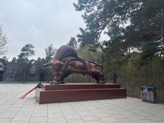 -大青沟风景区