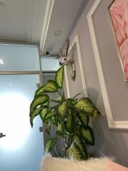 -YooMee优美智能科技美肤机构