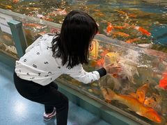 -上海昆虫博物馆