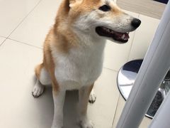 -立德动物医院·异宠·CT·鹦鹉(天河店)