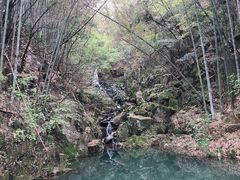 -藏龙百瀑风景区