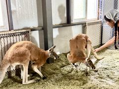 -水上乐园·欢乐世界