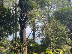 -福州中庚聚龍酒店香汇自助餐厅(南江滨西大道店)