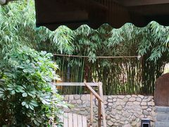 -清雅臻品·竹林院落·新派青岛菜(崂山店)