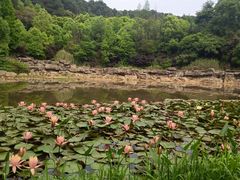 -铁山坪森林公园