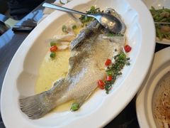 -海派悦庭·海胆烧麦·新融合菜(凯德广场店)