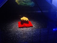-吉林市博物馆