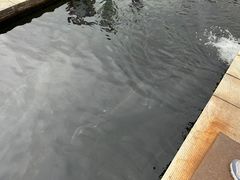 -天源渔港农庄
