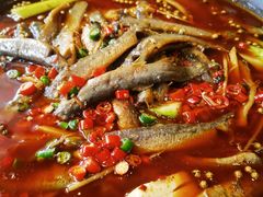 -新繁老號豌豆汤饭店·江湖菜(宝光寺店)