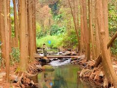 -马峦山郊野公园