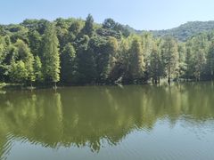 -广州市白云山风景名胜区