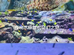-三亚亚特兰蒂斯度假区