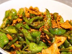 青辣椒炒肉-壹盏灯(惠农店)