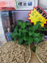 -SILKTONE诗丽堂美容