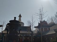 -西塔