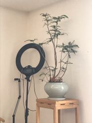 -清疣美疣·痣·斑净肤中心