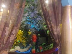 -魔指印象(西藏旗舰店)