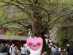 -大慈岩风景区