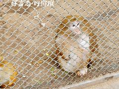 -长白岛森林公园