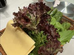 -燕郊烧鸽子(酷车小镇店)