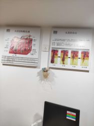 -章光101防脱养发荟