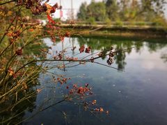 -重庆九凤瑶池海明山庄