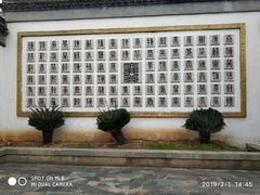 -八大山人梅湖景区