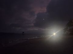 -东郊椰林